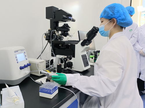 創(chuàng)新驅(qū)動(dòng)引領(lǐng)發(fā)展，慶陽科技創(chuàng)新量質(zhì)齊升——以視力保健儀技術(shù)開發(fā)為例