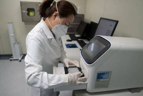 旅游風(fēng)波后，視力保健儀技術(shù)開發(fā)成為她新的人生篇章